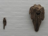 Fugl og Hvalansigt Bird, direct cast of dead bird. Face of whale- H. 20 B. 28 L. 48 cm, 2014. Sculptor Emil W. Hertz. 
Photo: Emil W. Hertz.

http://susanneottesen.dk/artists/show/71